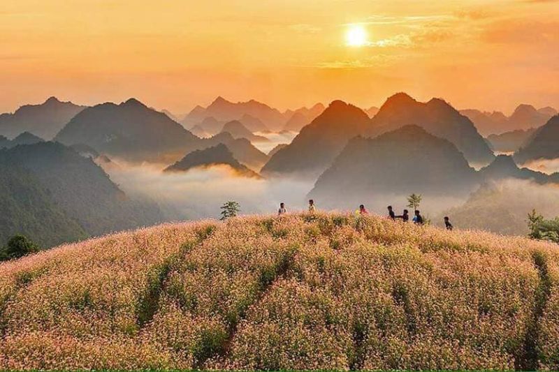 Ha Giang tourism and unique check-in destinations