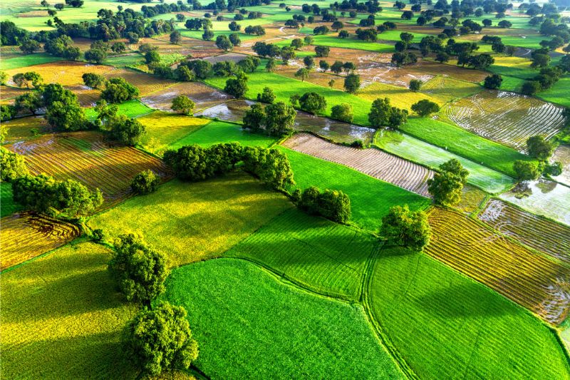 Top 8 Most Beautiful Rice Fields in Vietnam 2023