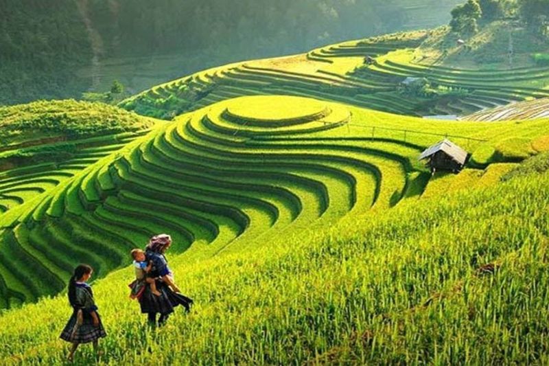 Things to know about Sapa for a successful trip
