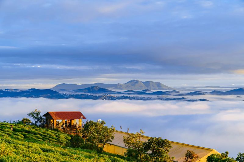 The top 10 beautiful cloud hunting locations in Da Lat that you must visit