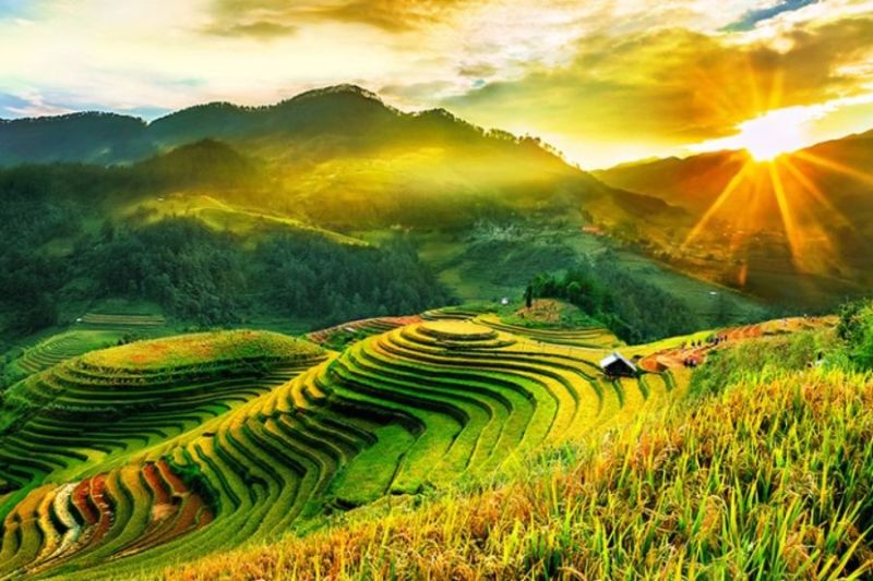 Mu Cang Chai is brilliant with terraced fields
