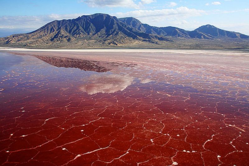 Natron Lake is one of the great but little known natural wonders and has a distinctive red color