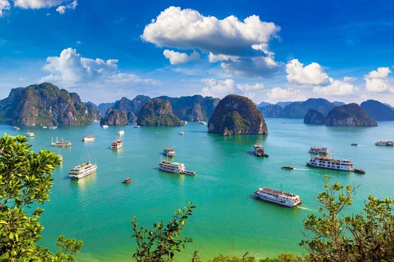 Ha Long Bay is one of the mysterious places that should be discovered and experienced