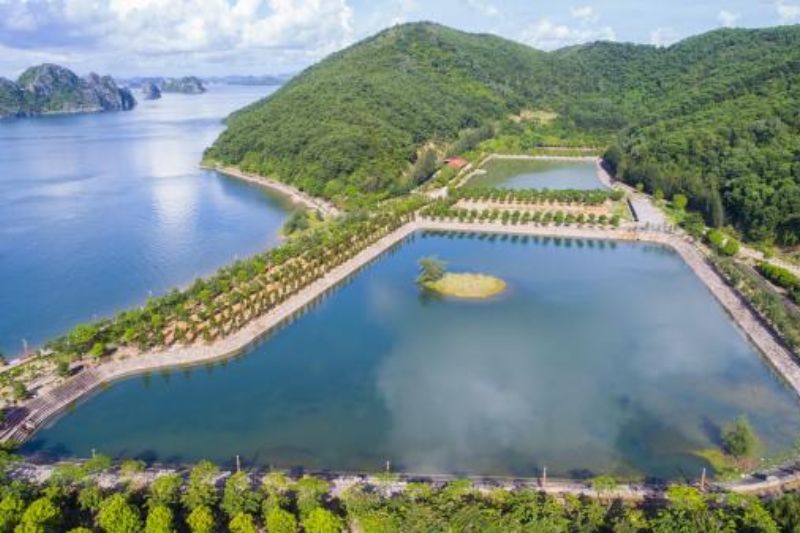 Golden Card Island is located wild in the middle of Quang Ninh
