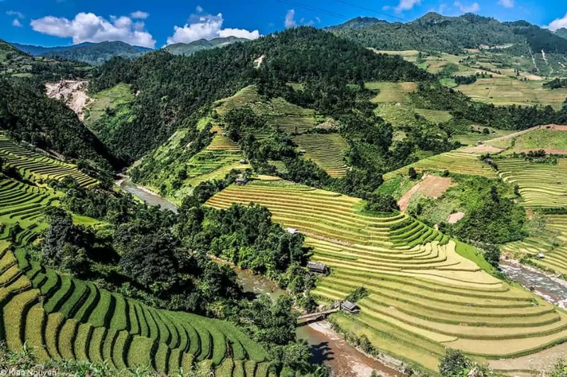 Mu Cang Chai in October attracts people by its natural beauty