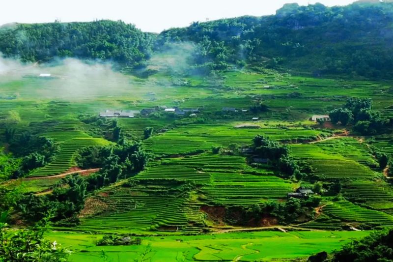 Come to Mai Chau in May to experience the space of terraced fields until the rice harvest