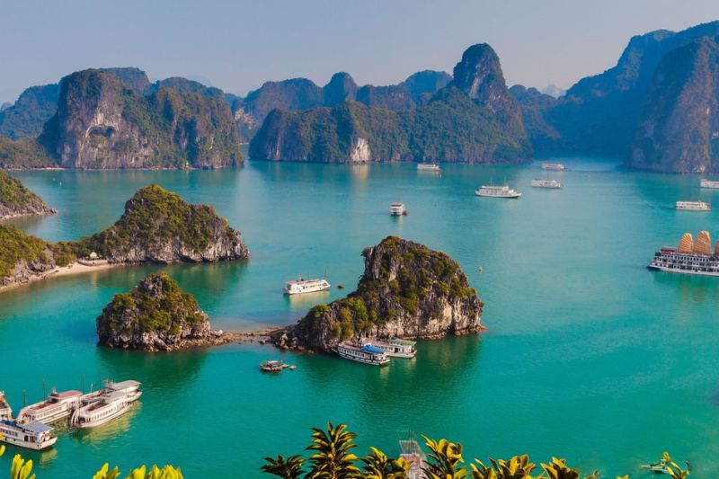 Halong Bay has never been hot with tourists from all over the world, especially in August