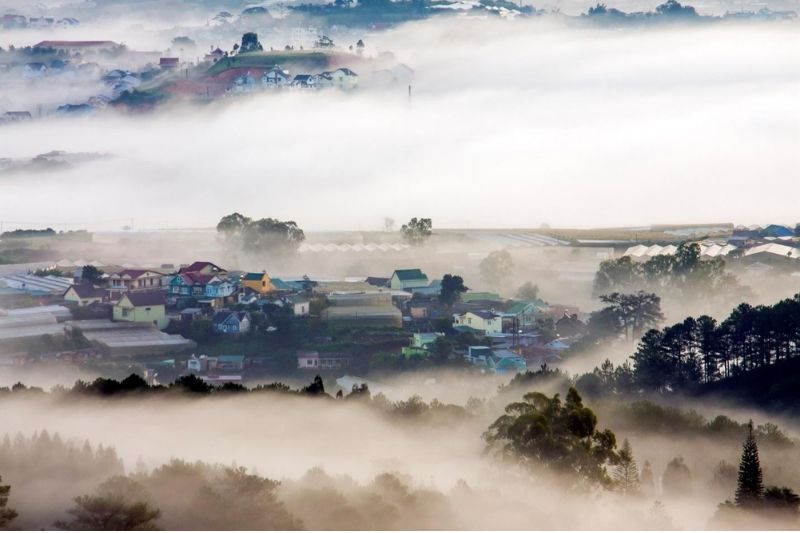 Visit the misty Da Lat to admire the space of white mist covered in mist in August