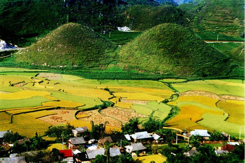 Ha Giang in September is like a beautiful lyrical landscape picture