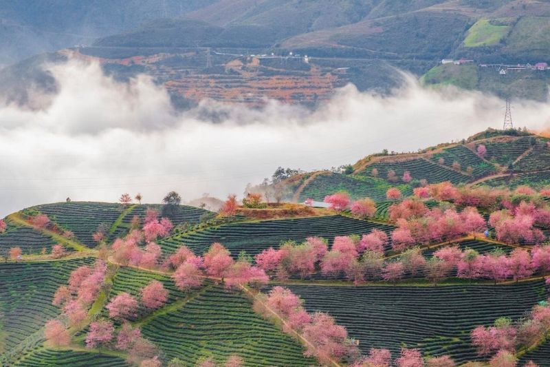 How exciting it is to experience 1 day and 4 seasons in Sapa in September!