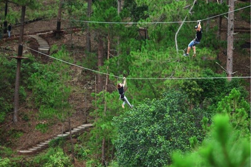 Zipline through forest brings many emotions and challenges to players 