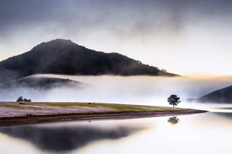 Dankia Lake - Golden Stream - Lonely Tree is a great check-in destination in Da Lat that is extremely popular with tourists