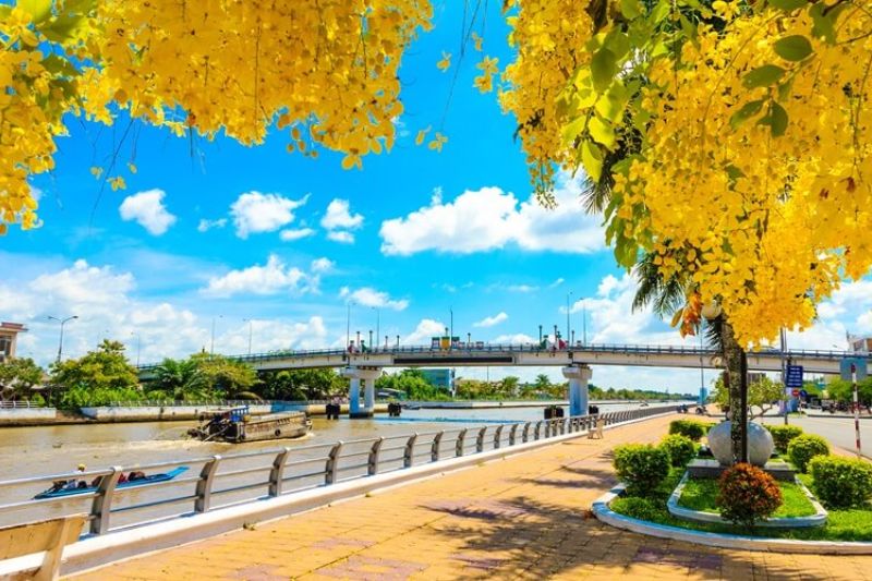 Experience a stroll around Xa No park with many rows of cool green trees