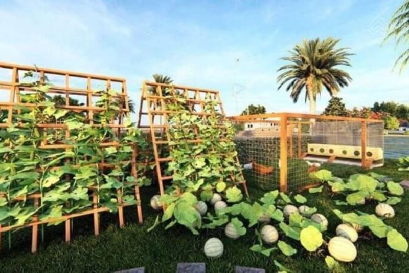 Thach Sanh Farm ecological garden possesses an extremely spacious, comfortable and pleasant space