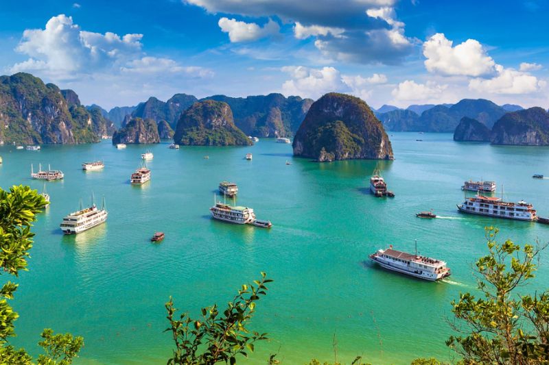 Ha Long Bay is always an attractive destination attracting tourists from all over