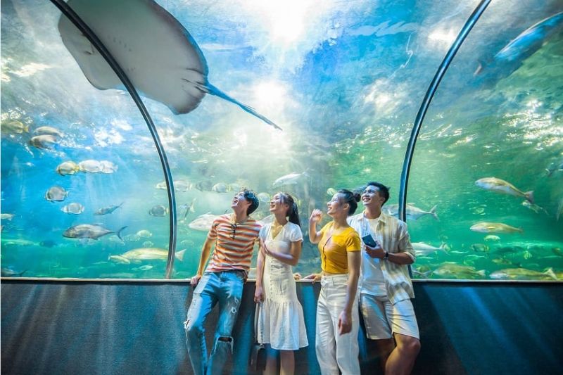 Vinpearl Aquarium Times City - a miniature sea paradise in an aquarium