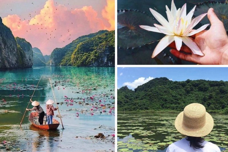 Quan Son Lake is poetic and charming with a gentle lotus pond