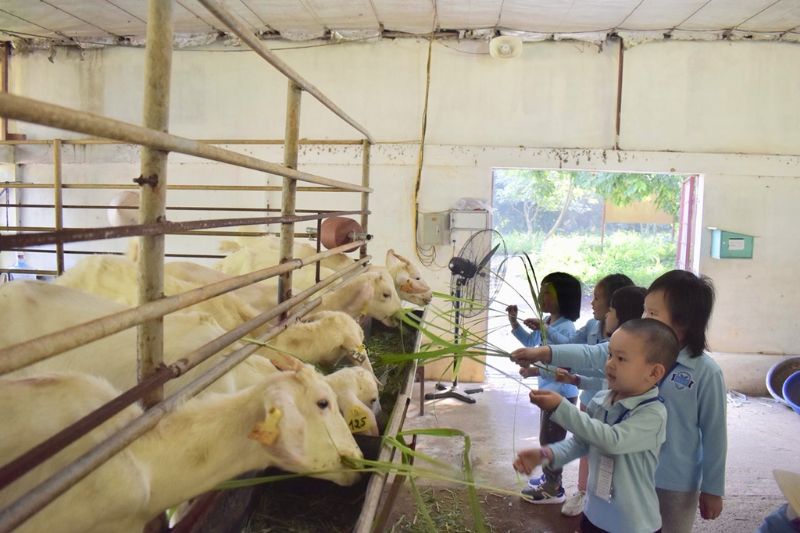 Detrang Farm Educational Farm is one of the tourist destinations near Hanoi for children
