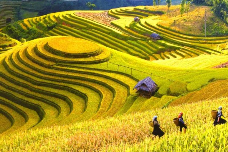 Lao Chai village - The poetic and majestic natural beauty of Sapa