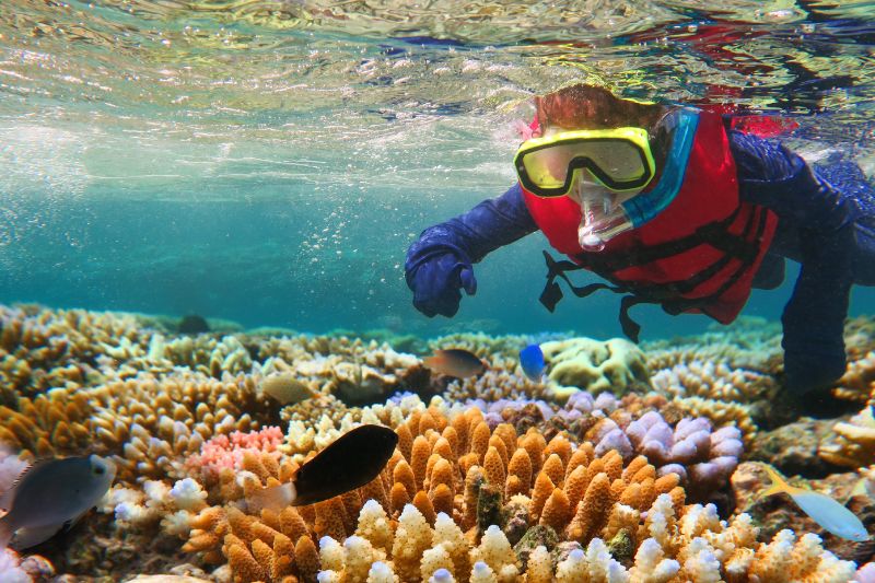 Snorkeling is one of the most popular forms of scuba diving today