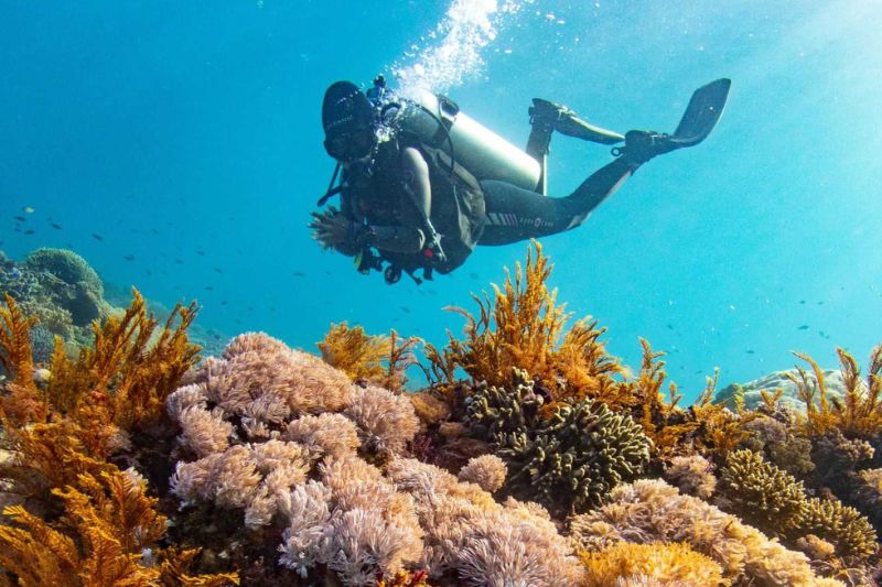 Scuba diving is also a popular form of tourists because of the long time to breathe underwater