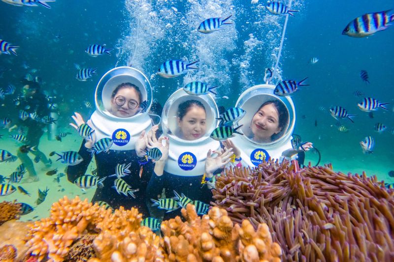 Don't miss the opportunity to snorkel at Seaworld Park to have memorable memories