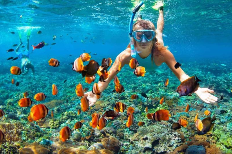 Visitors should not miss the coral reef diving activity in Bai Thom with many unique experiences