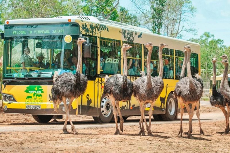 Vinpearl Safari Phu Quoc - Semi-wild zoo attracts many tourists to visit