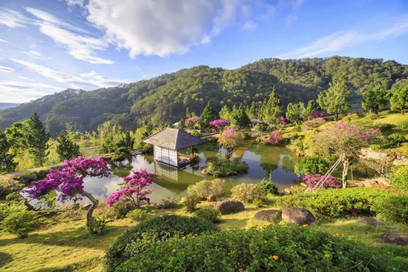 Visit QUE Garden Dalat, don't forget to check-in at the Japanese house