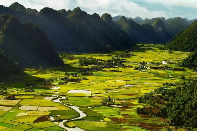 Bac Son Valley in the ripe rice season brings charm that attracts many tourists