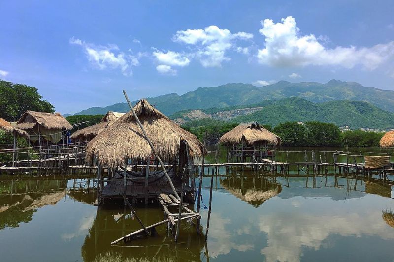 Mangrove ecological area - a destination in Tra Vinh that tourists must visit even once