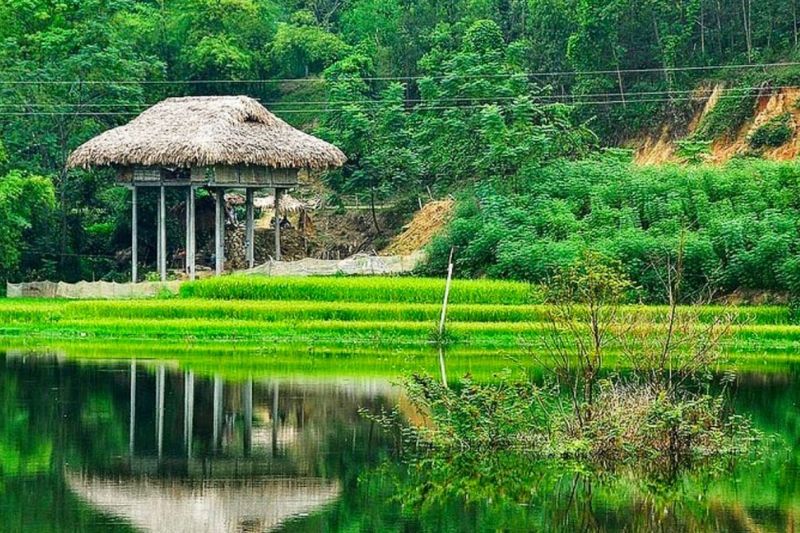 Visit Ngoi Tu village and admire the lyrical natural picture of this place