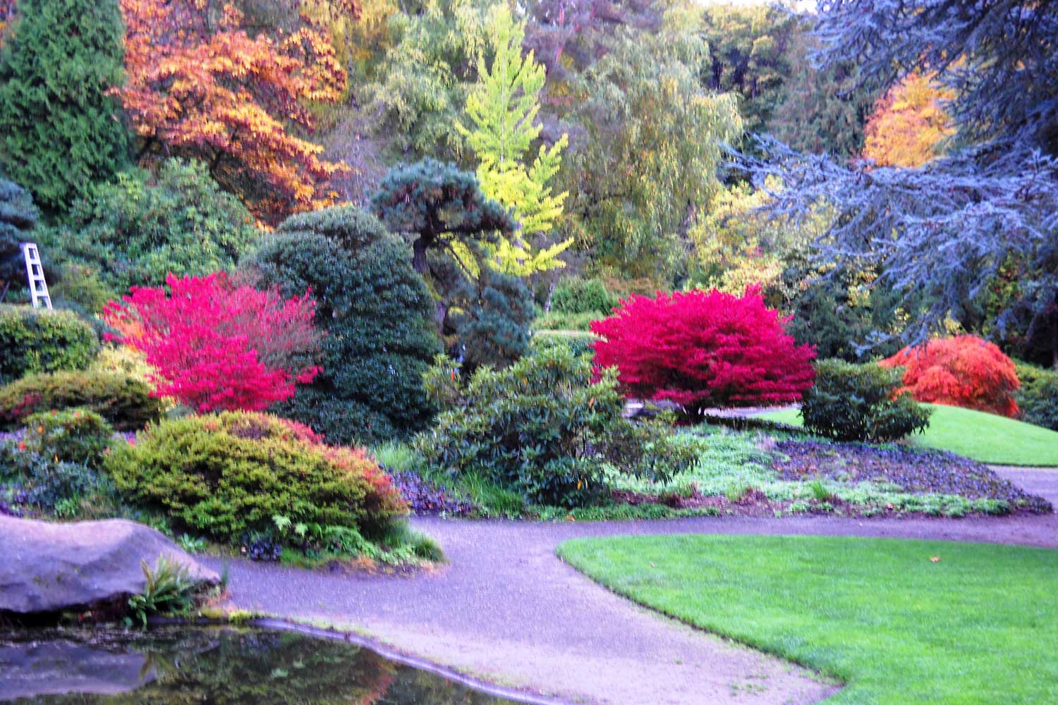 Visit Kubota Garden, a hidden gem in Seattle's Rainier Beach area